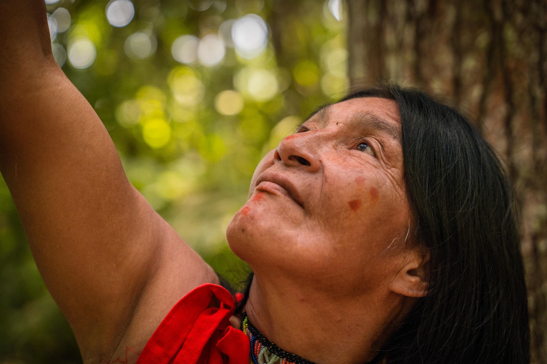 América Latina concentró el 85% de los asesinatos de defensores ambientales en 2025