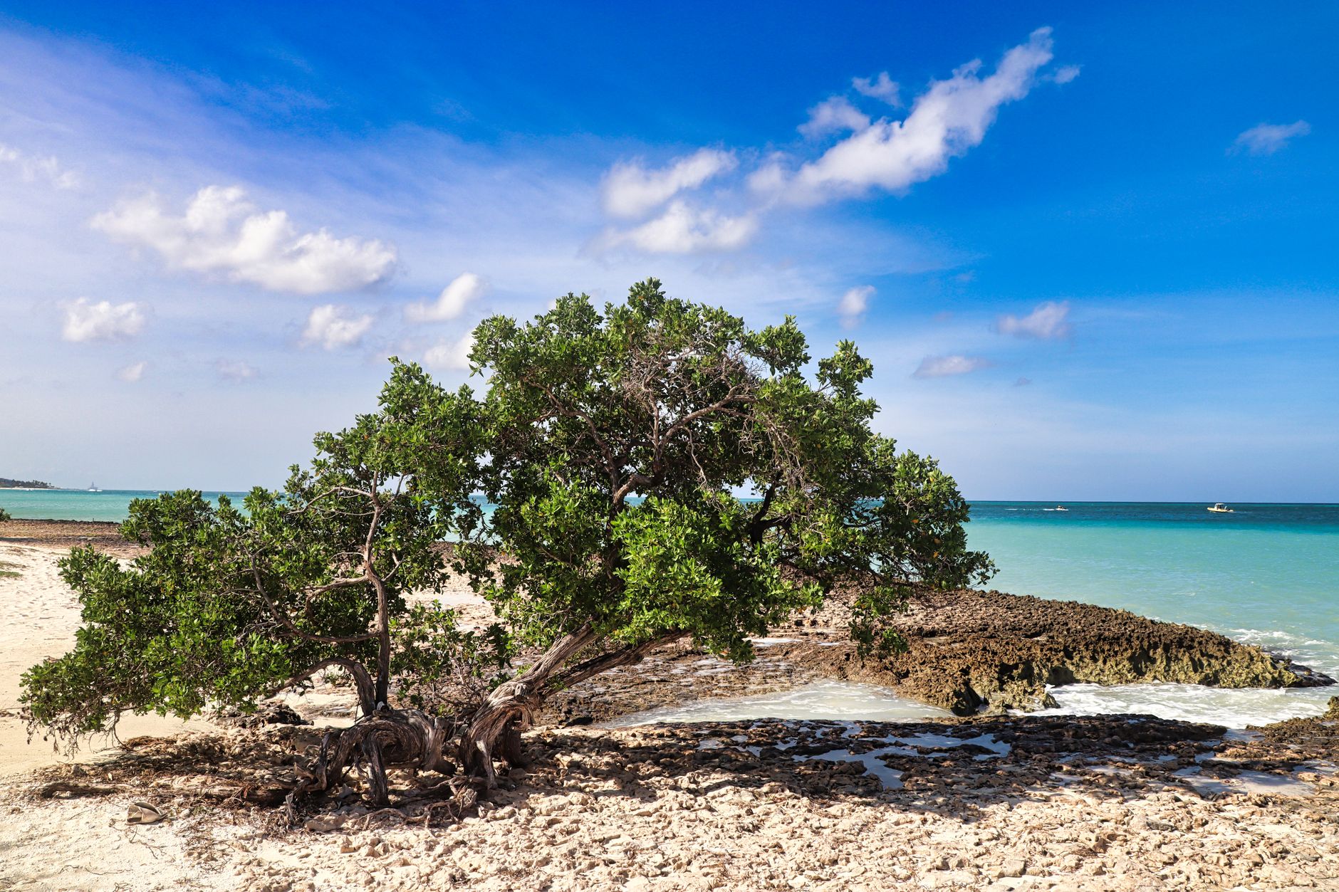 ONU y Cuba refuerzan su cooperación frente al cambio climático