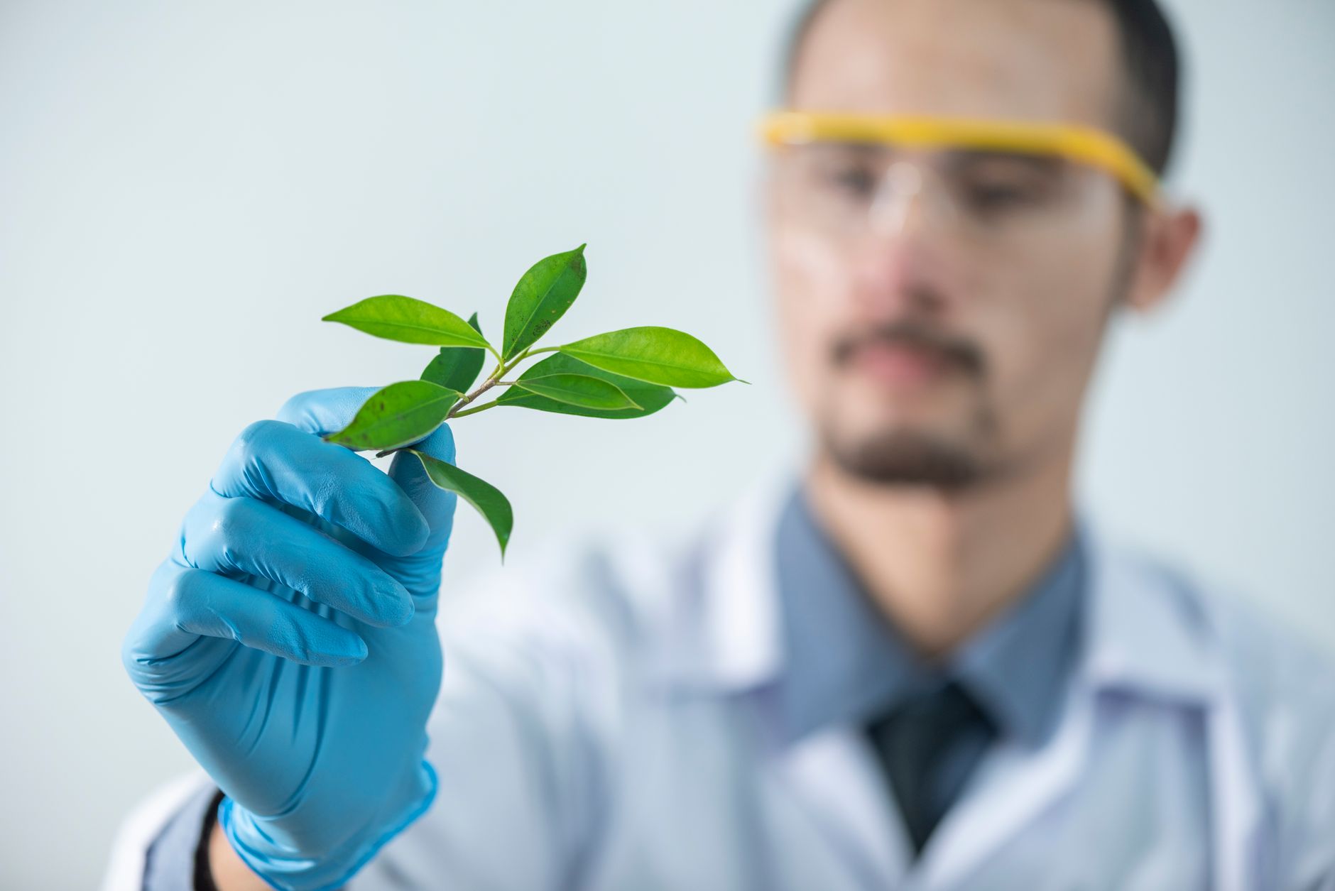 Tecnología inspirada en la naturaleza acelera el cultivo de tejidos vivos