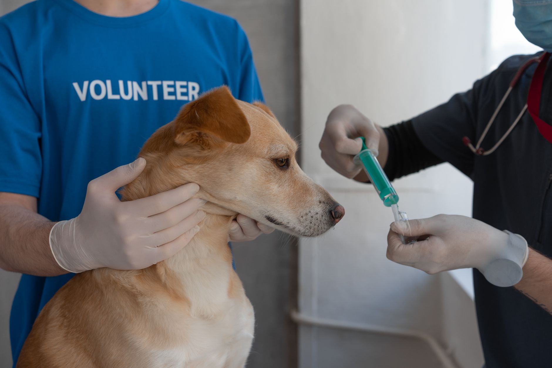 Rawson inauguró instalaciones veterinarias en el antiguo zoológico municipal