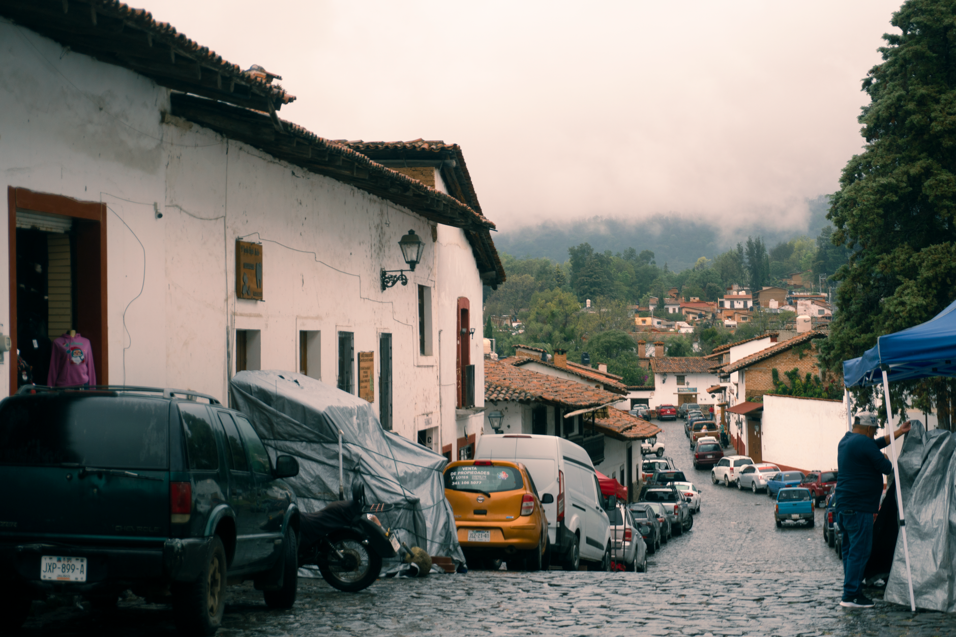 Coatepec y Alvarado: cultura y gastronomía unen la montaña veracruzana con el mar