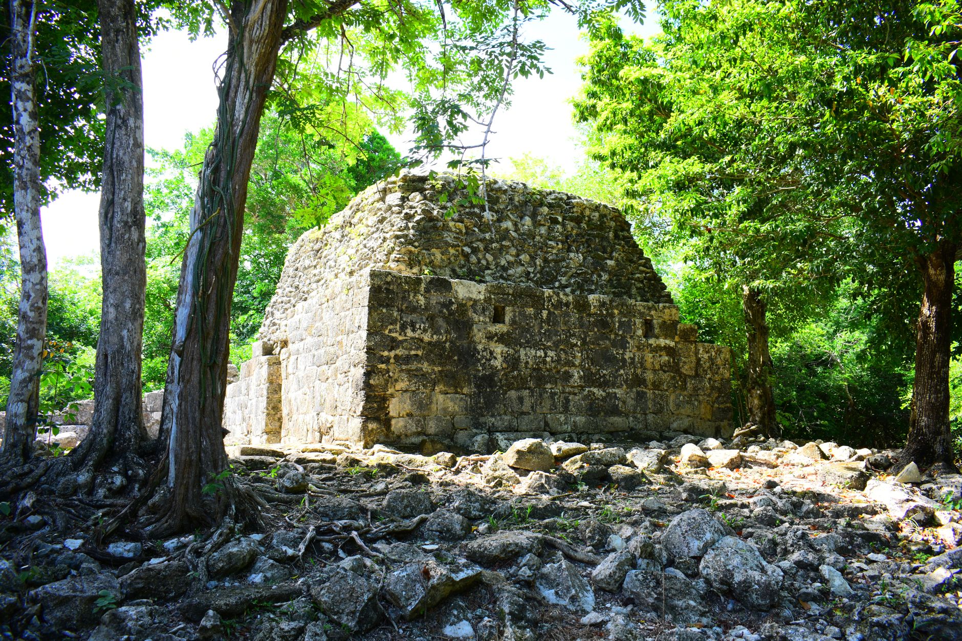 República Dominicana retira 73 estructuras ilegales del Monumento Natural Hoyo Claro