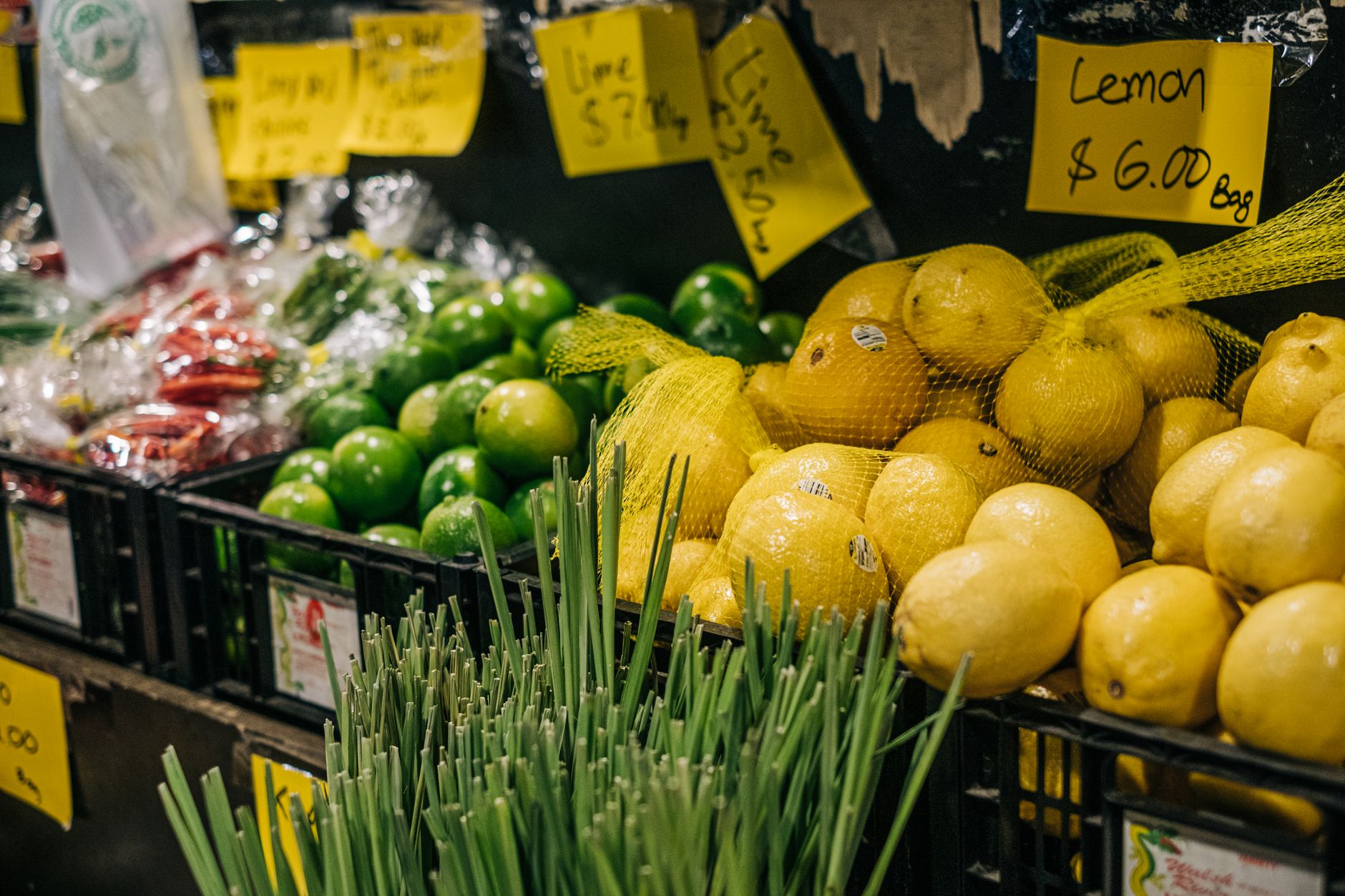 Nutrición y entorno, claves para prevenir problemas de salud, según Novaciencia