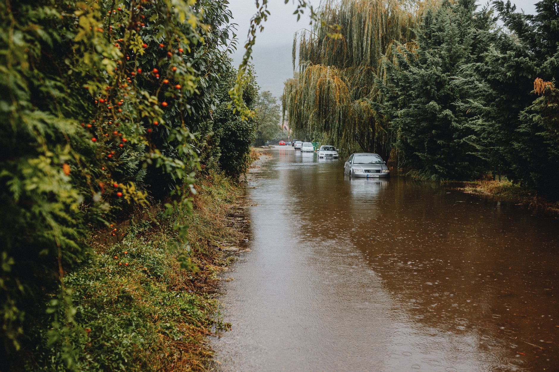 Texas advierte de los peligros ocultos de conducir por una carretera inundada